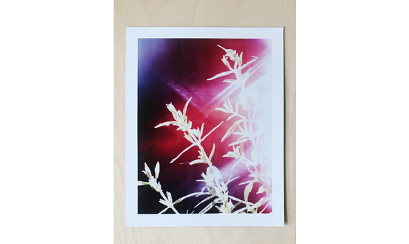 Big image markborthwick 4.5x3.5