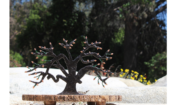 Big image alan jack 1