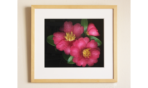 Big image marsha tudor