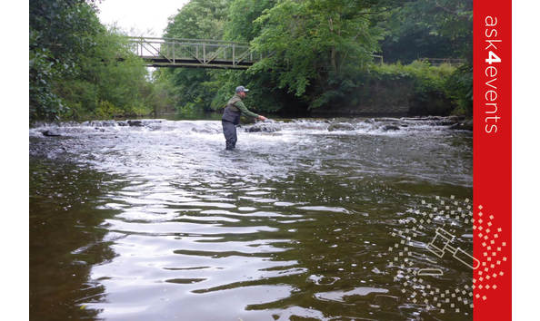 Big image auction images 2020 27