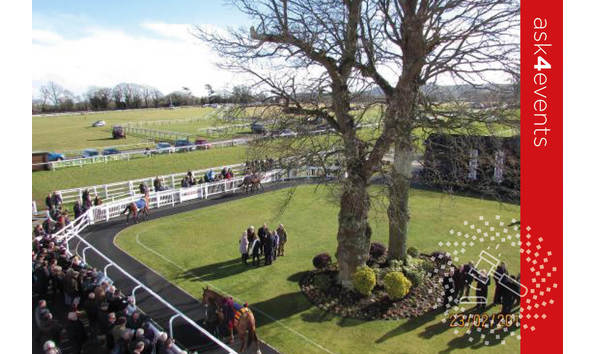 Big image auction images 2020 6