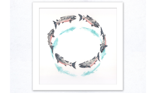 Big image pacificspirit cohoframe mockup