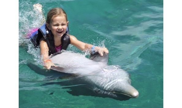 Big image megan dolphin