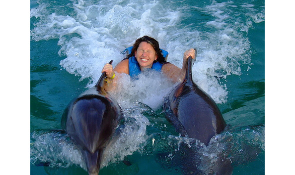 Big image dolphin cove jamaica tours