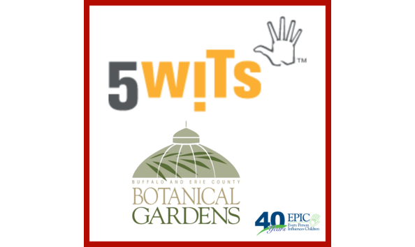 Big image auction template  22 