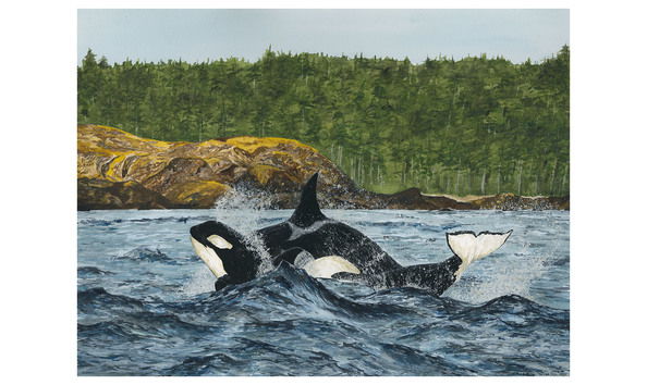 Big image t46bs and t65as ver1 web