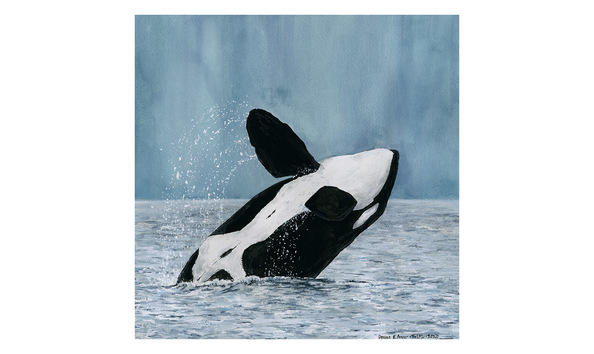 Big image t65a2 ver1 web