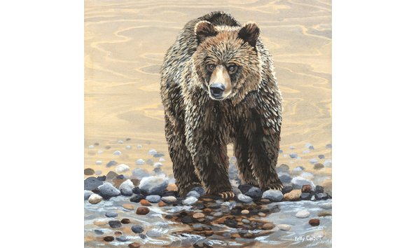 Big image ursus arctos 12x12