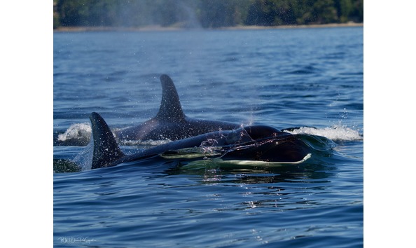 Big image dsc00153 min