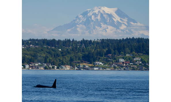 Big image dsc00412 min