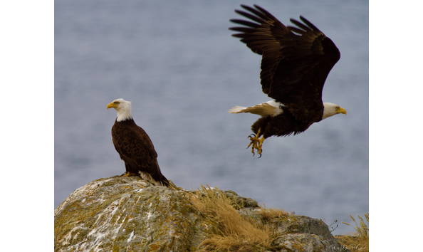 Big image dsc02470 min