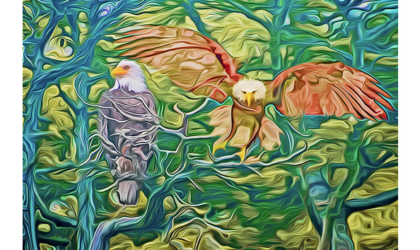 Big image passing generations sml