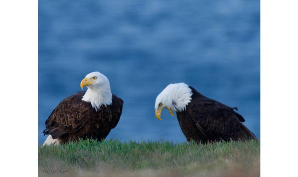 Big image dsc06426 min