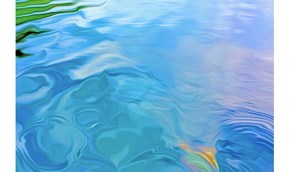 Big image paws for reflection sml