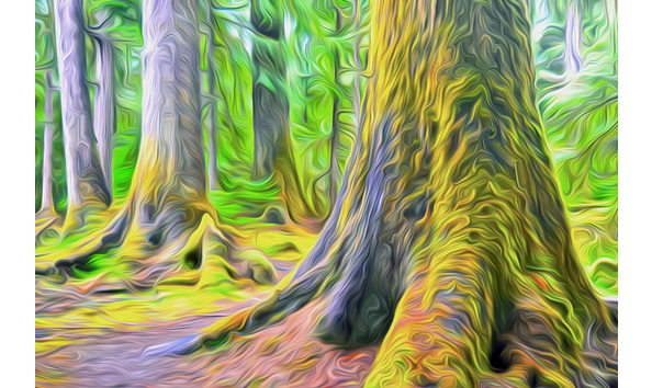 Big image ancient life force sml