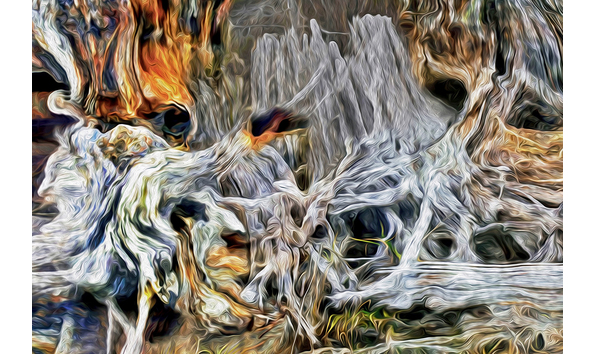 Big image pertrified and amplified at low tide