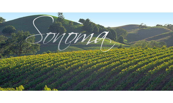 Big image pic 5   3200 3204 vintnar adventure in sonoma main