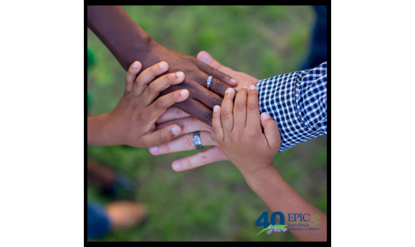 Big image auction template  30 