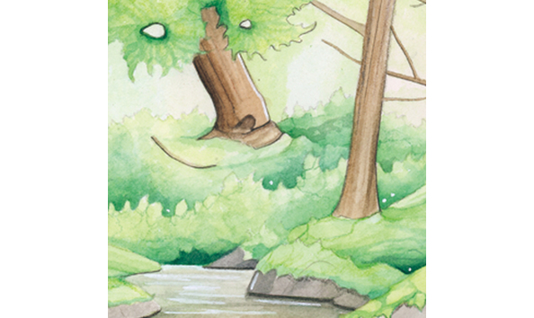 Big image reflectionbear2