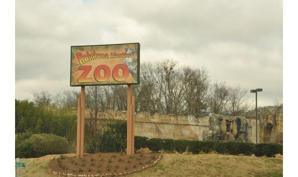 Big image rainforest