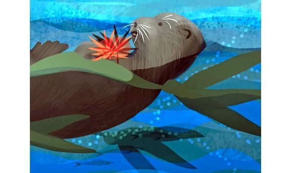 Big image a sea otter success story detail