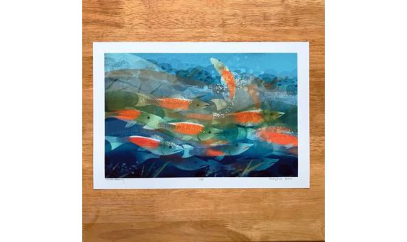 Big image chinook returning square