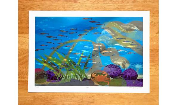 Big image shoal signed