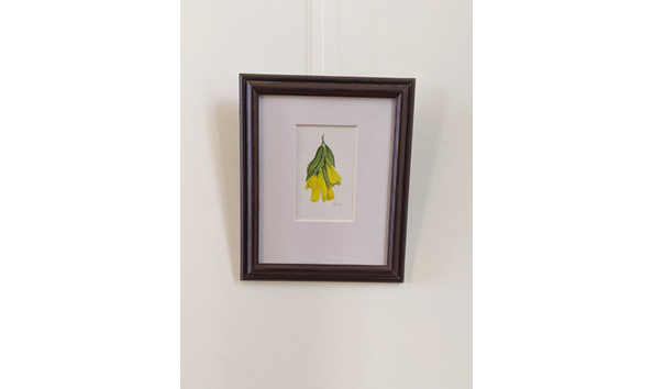 Big image sheavly   wild flower