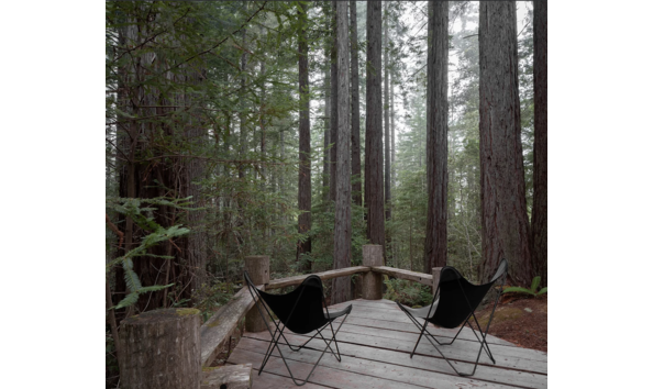 Big image screen shot 2020 10 29 at 1.14.01 pm