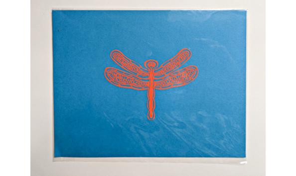 Big image apker   dragonfly