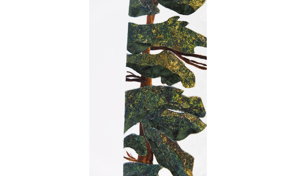 Big image 164 details2