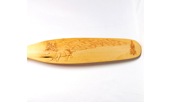 Big image 101 details