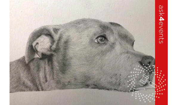 Big image auction images 2020 49