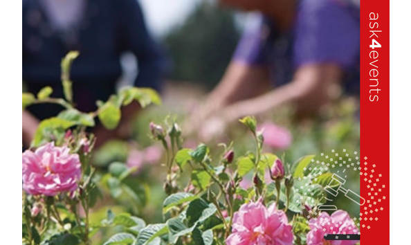 Big image auction images 2020 53