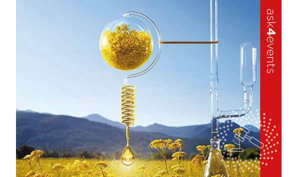 Big image auction images 2020 54