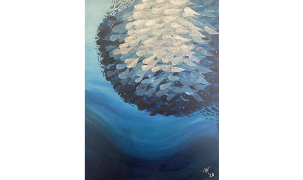 Big image herring bait ball 16x12