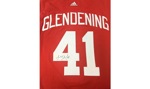 Big image redwingsjersey