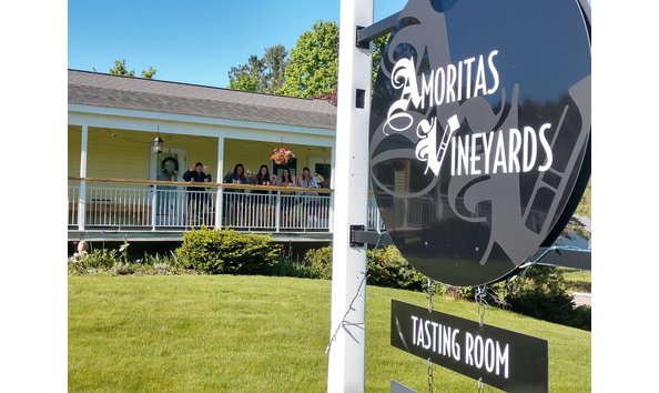 Big image amoritasvineyard