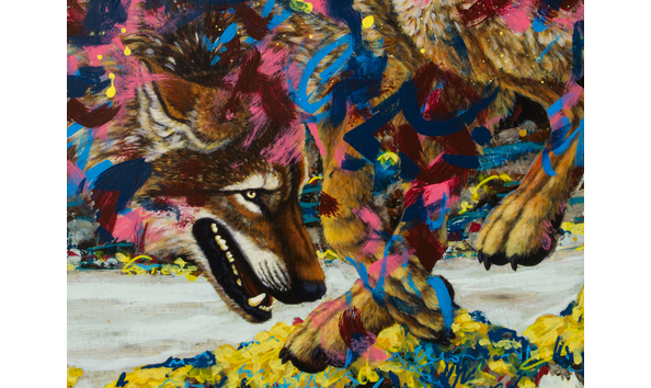 Big image artprints details coastalwolf 01