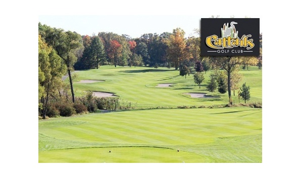 Big image cattailsgolf