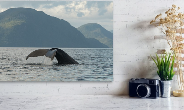 Big image screen shot 2020 10 30 at 14.14.31