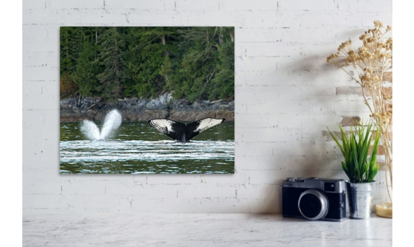 Big image screen shot 2020 11 02 at 13.06.00