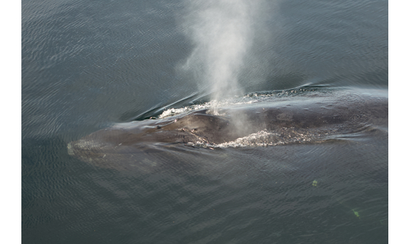 Big image screen shot 2020 10 26 at 14.56.56 copy