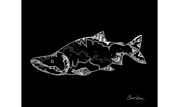 Big image salmon scales low rez