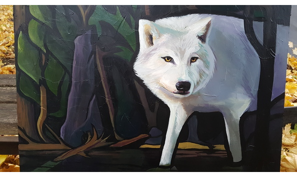 Big image 20201102 160047