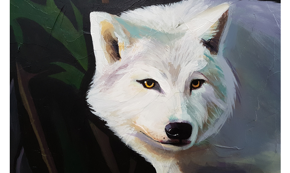 Big image 20201102 155936