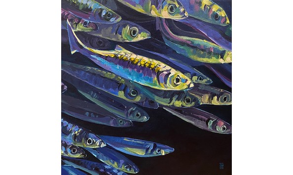 Big image the herring mspence