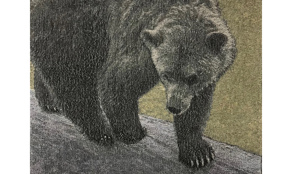 Big image any fish there