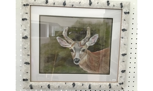 Big image a3d64a73 2946 44c4 8cab 8cc74849b383