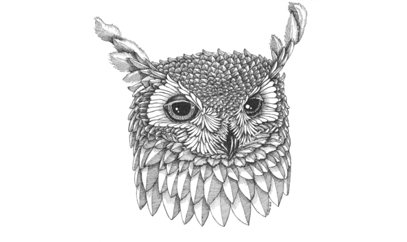 Big image owl head copy